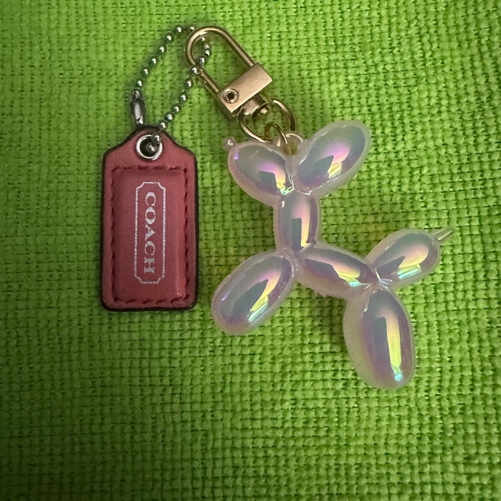 Coach Rose Keychain with silver details  and pink doggy  key chain holder